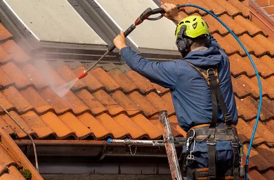 Démoussage et hydrofuge de toiture à Genouilleux